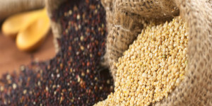 Colombia está interesada en exportar quinua a Canadá. Foto cortesía Procolombia 