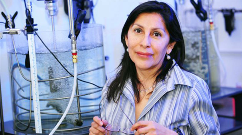 Rosa Gálvez, primera senadora de origen latinoamericano en Canadá. Foto Rosa Gálvez