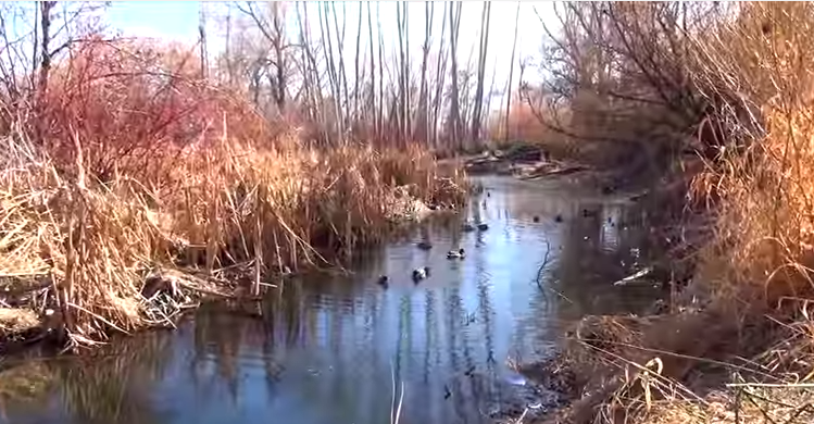 Gobierno declara máximo nivel de sequía sobre varias zonas de Colombia Británica