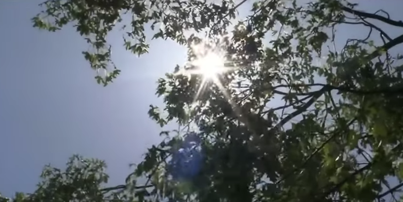 Racionamiento de agua en Vancouver por intenso verano