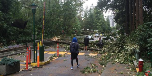 Miles de viviendas sin energía eléctrica en Metro Vancouver por fuerte tormenta
