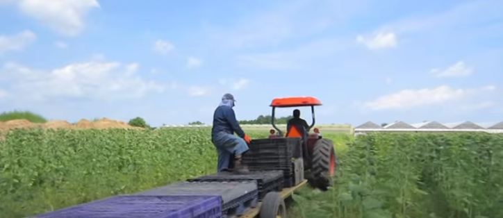 UFCW Canadá y Estado de Michoacán firman acuerdo para proteger a migrantes mexicanos