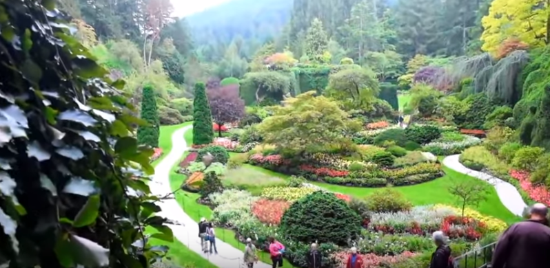 Crece el número de turistas mexicanos que visitan la Columbia Británica
