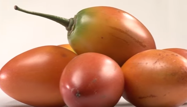 Colombia explora oportunidades de comercio de productos orgánicos con Canadá