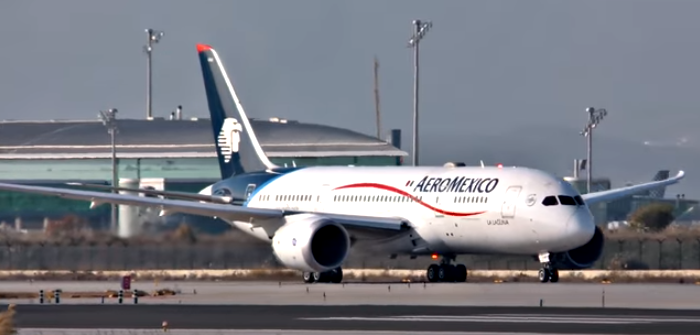 Pasajero de Aeroméxico fue picado por un alacrán