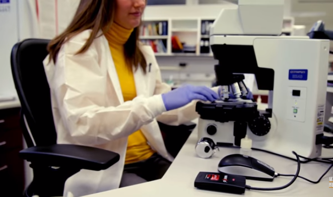 Canadá está buscando investigadores científicos y académicos