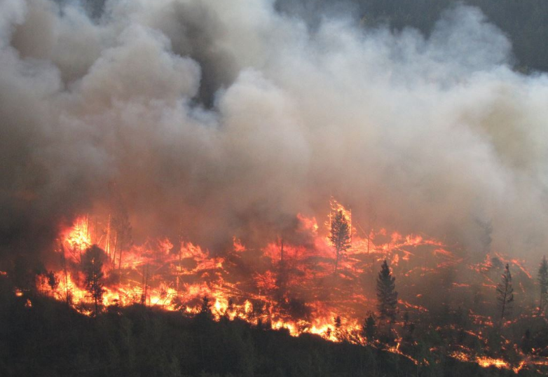 Por tercera vez, extienden estado de emergencia por incendios en Columbia Británica