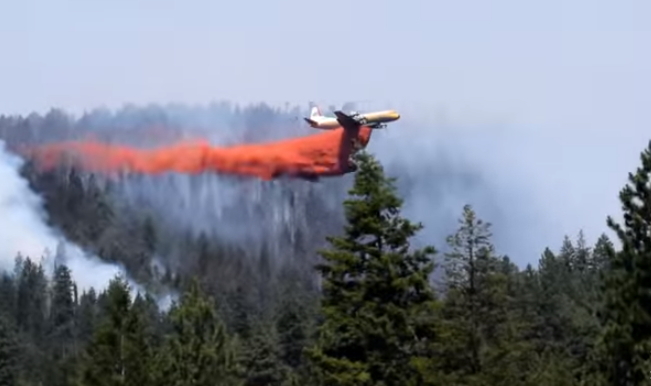 Extienden estado de emergencia por incendios en Columbia Británica