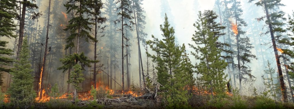 Gobierno provincial extiende estado de emergencia por cuarta vez en Columbia Británica
