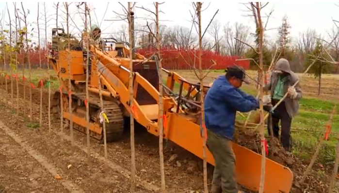 Gobierno federal ofrece ayuda a trabajadores migrantes vulnerables en Canadá