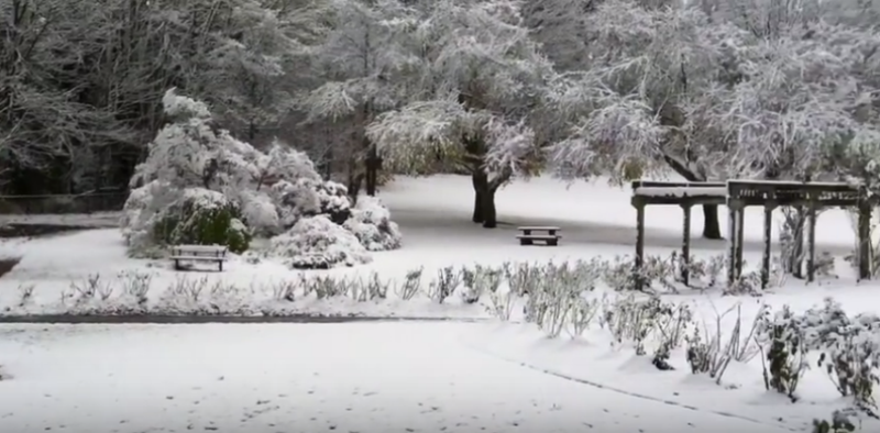 Alerta de nevada sobre Metro Vancouver para este viernes