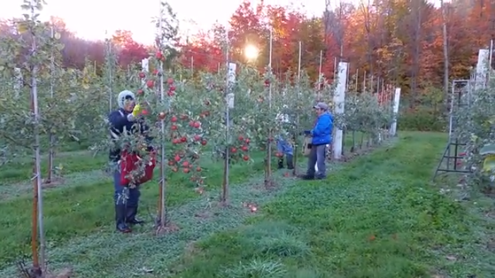 Trabajadores agrícolas migrantes en Ontario logran mejoras en servicio de salud
