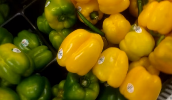 Comercio agroalimentario entre México y Canadá se encuentra en su mejor momento