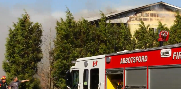 78 trabajadores agrícolas mexicanos fueron reubicados tras incendio en granja de Abbotsford