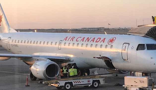 Mapache retrasa vuelo de Air Canada