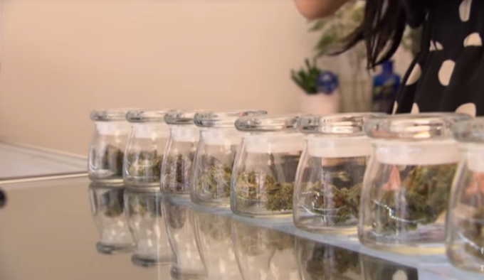 Senado de Canadá aprobó proyecto de ley para legalizar la marihuana