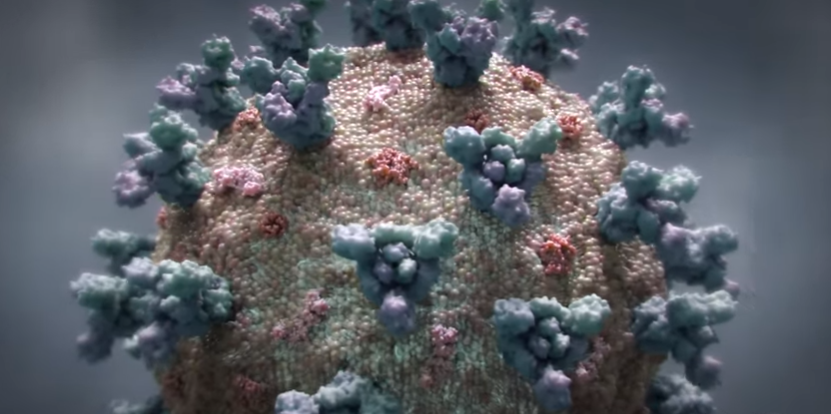 COVID-19 podría dejar entre 11.000 y 22.000 muertos en Canadá