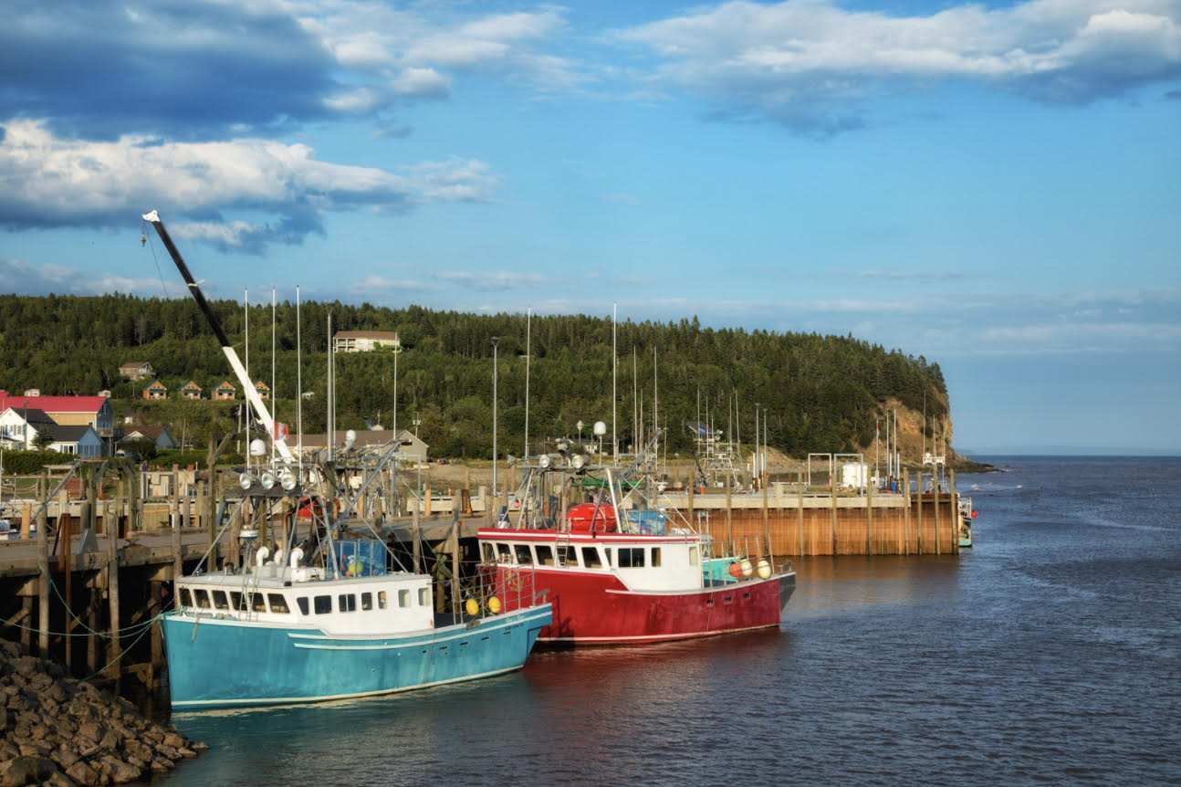 El boom de inmigrantes canadienses en New Brunswick