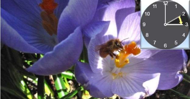 Recuerde que esta noche cambia la hora en algunas regiones de Canadá