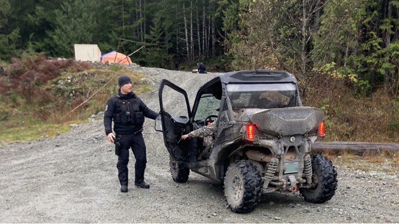 Dos osos fueron atrapados tras ataque a estudiantes y profesores en Bella Coola