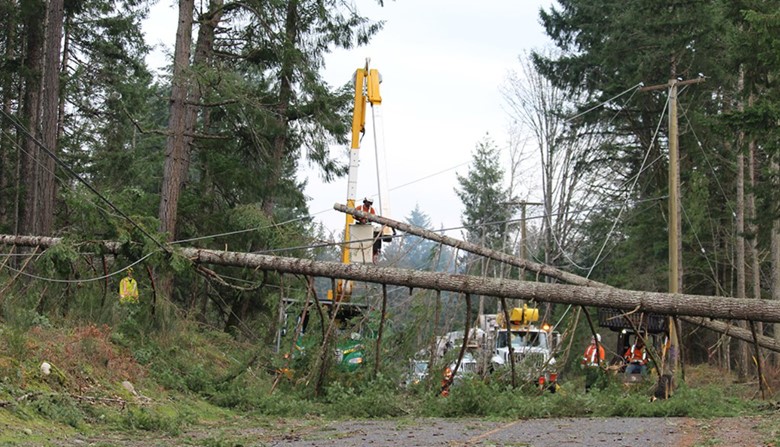 Fuertes vientos y lluvias dejan sin electricidad a miles de hogares en la Columbia Británica