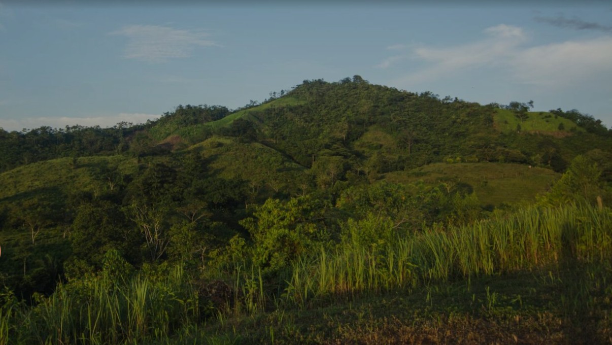 Cordoba Minerals vende su participación en el Proyecto Alacrán y se retira de Colombia