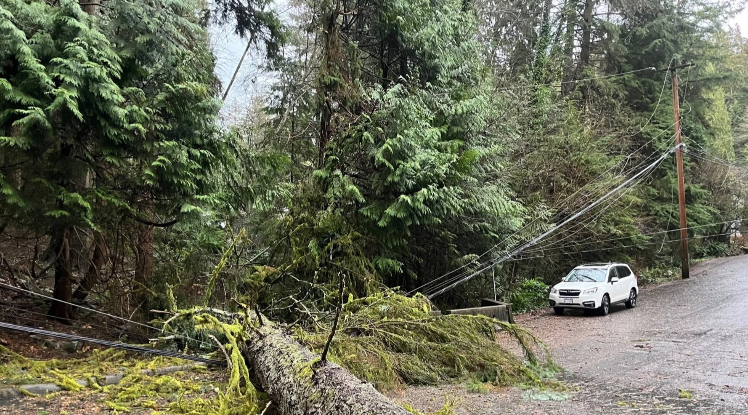 Tormenta de viento deja sin electricidad a más de 7.000 hogares en Columbia Británica